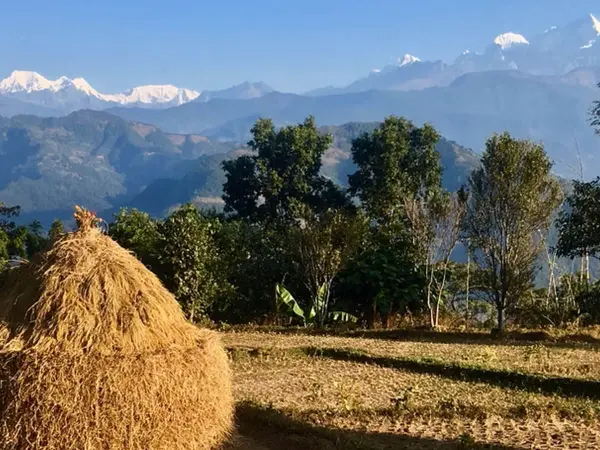 Mountain view