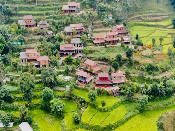 Riepe Village Video